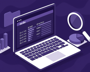 Ncdu: o "raio-X" do seu HD no terminal